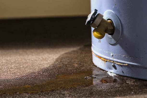  Canfield, OH Water damage restoration Pros