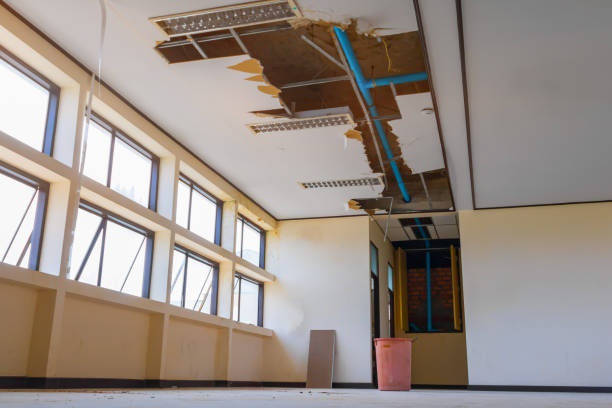 Best 24-hour water damage restoration  in Canfield, OH