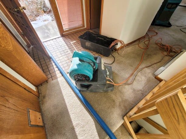Best Carpet water damage restoration  in Canfield, OH