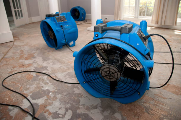 Best Water damage restoration near me  in Canfield, OH