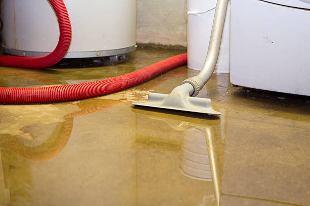 Best Flood damage cleanup  in Canfield, OH