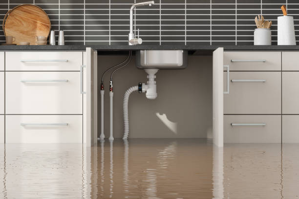 Best Flooded house restoration  in Canfield, OH
