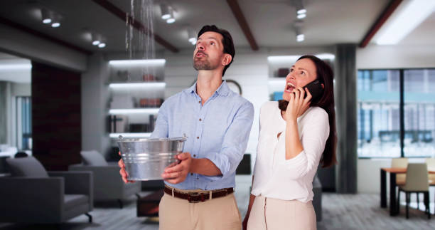 Best Water damage cleanup near me  in Canfield, OH