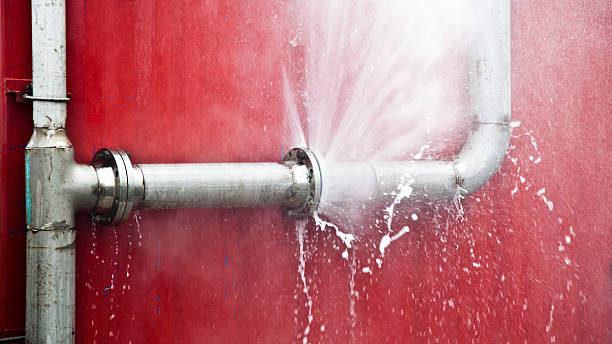 Best Residential water damage restoration  in Canfield, OH